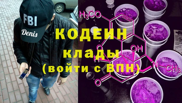 крисы Мегион
