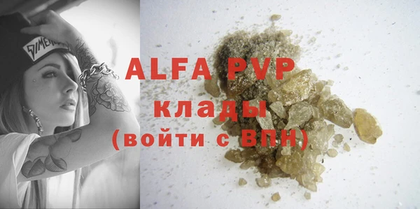 крисы Мегион