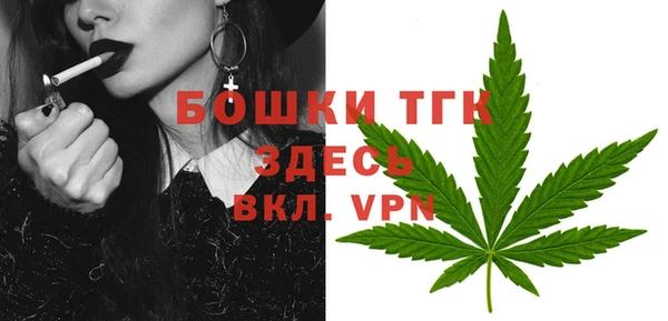 крисы Мегион
