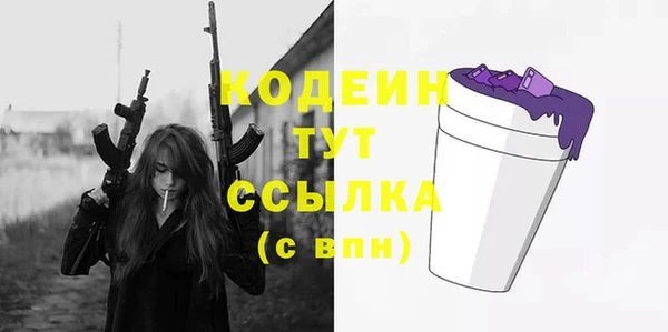 крисы Мегион
