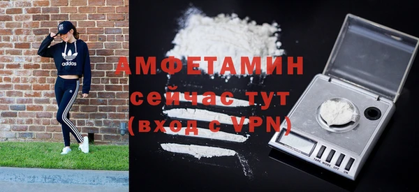 крисы Мегион