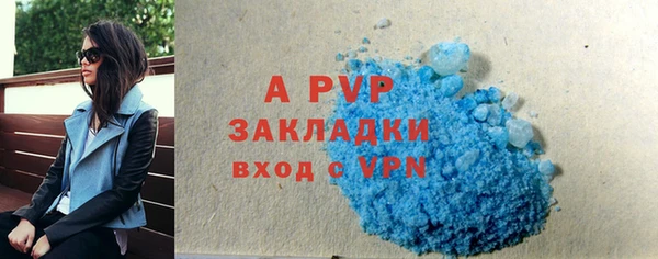крисы Мегион